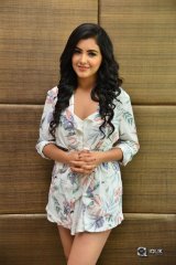 Malavika Sharma at Nela Ticket Movie Pressmeet